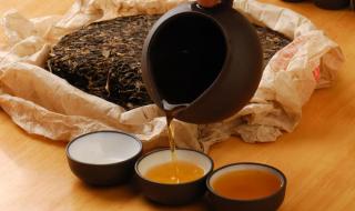 普洱茶是一种什么茶 普洱茶属于什么茶
